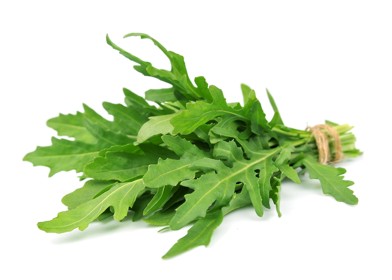 Rucola