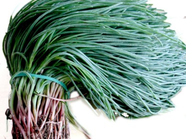 Agretti