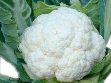 Cavolfiore bianco