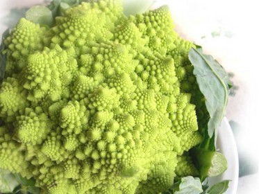 Cavolo romanesco