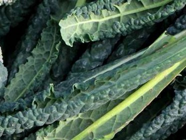 Cavolo nero toscano