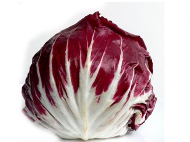 Radicchio